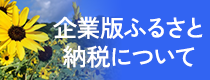 企業版ふるさと納税について